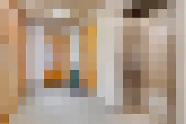 Ansjovislaan 226 Bergen op Zoom thumbnail 6