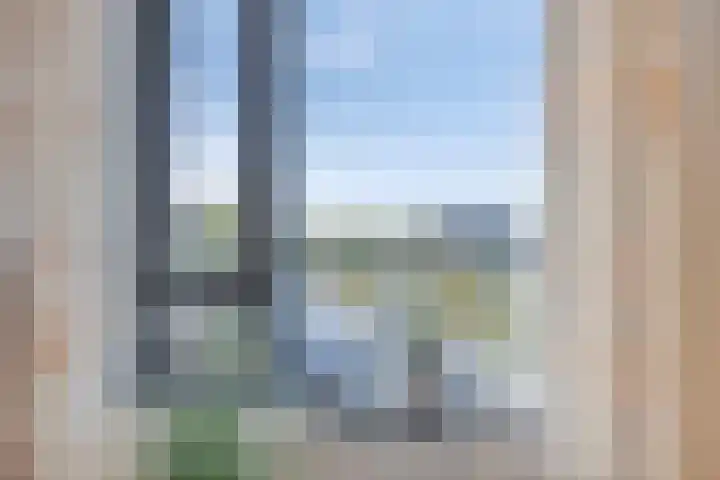 Ansjovislaan 227 Bergen op Zoom thumbnail 10