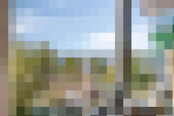 Ansjovislaan 227 Bergen op Zoom thumbnail 14
