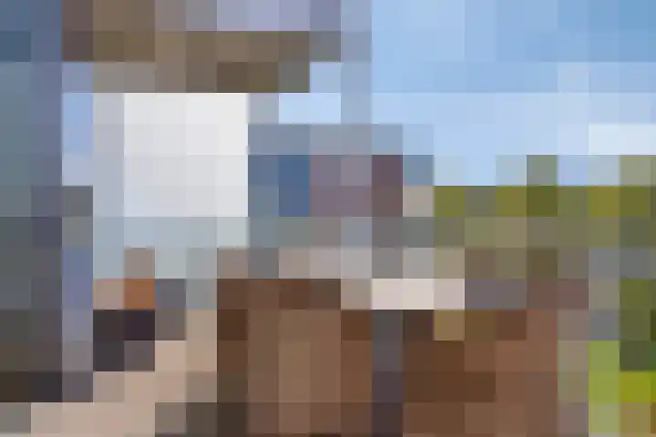 Ansjovislaan 227 Bergen op Zoom thumbnail 22