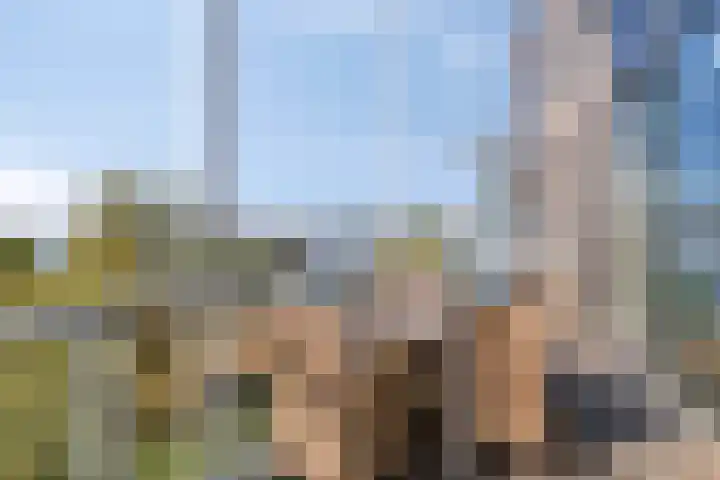Ansjovislaan 227 Bergen op Zoom thumbnail 23