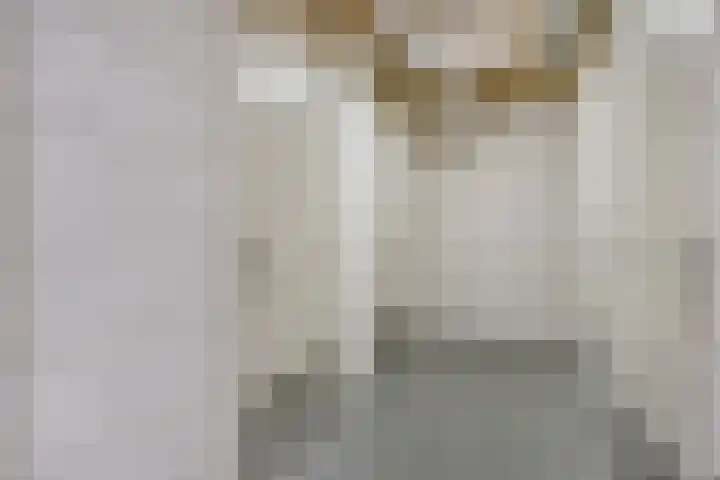 Ansjovislaan 227 Bergen op Zoom thumbnail 27
