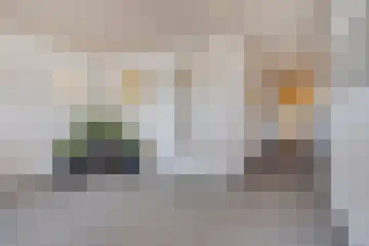 Ansjovislaan 227 Bergen op Zoom thumbnail 32