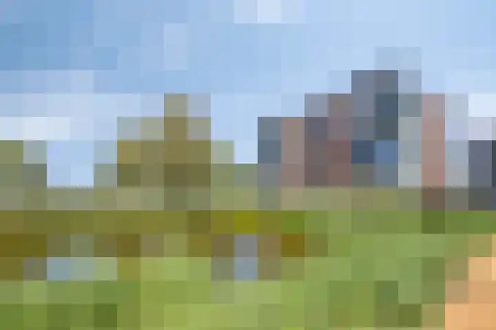 Ansjovislaan 227 Bergen op Zoom thumbnail 35