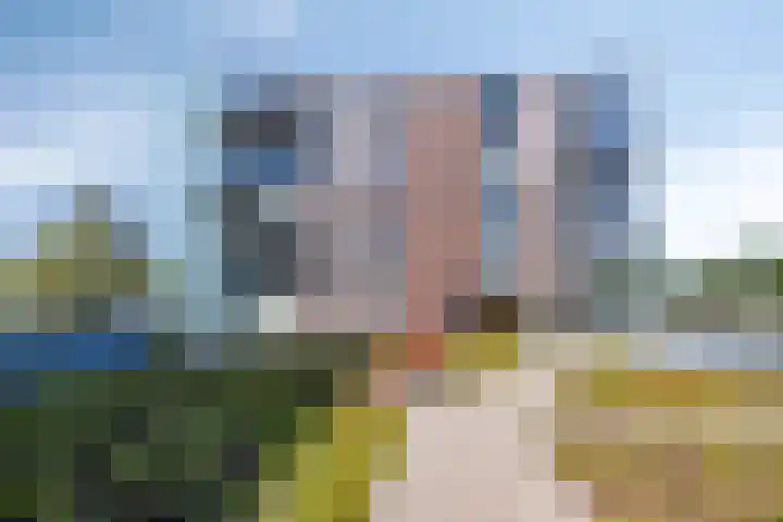 Ansjovislaan 227 Bergen op Zoom thumbnail 36