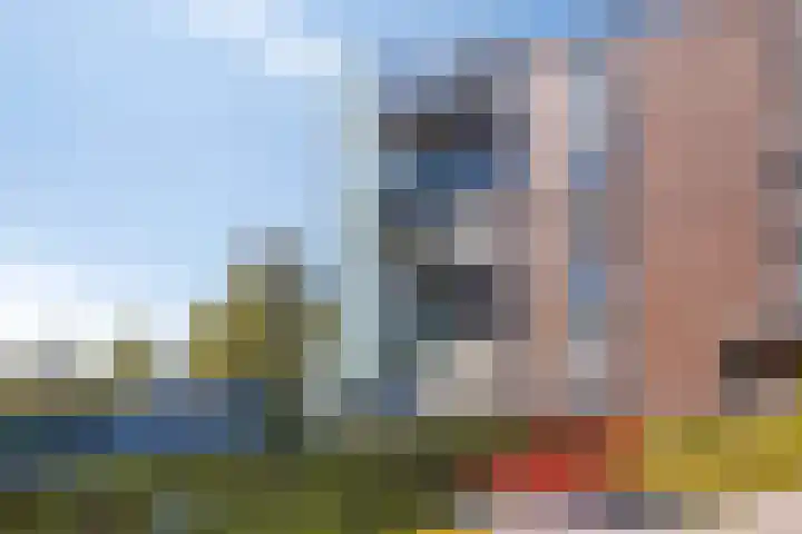 Ansjovislaan 227 Bergen op Zoom thumbnail 37