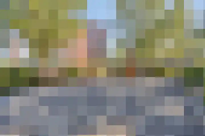 Ansjovislaan 227 Bergen op Zoom thumbnail 40