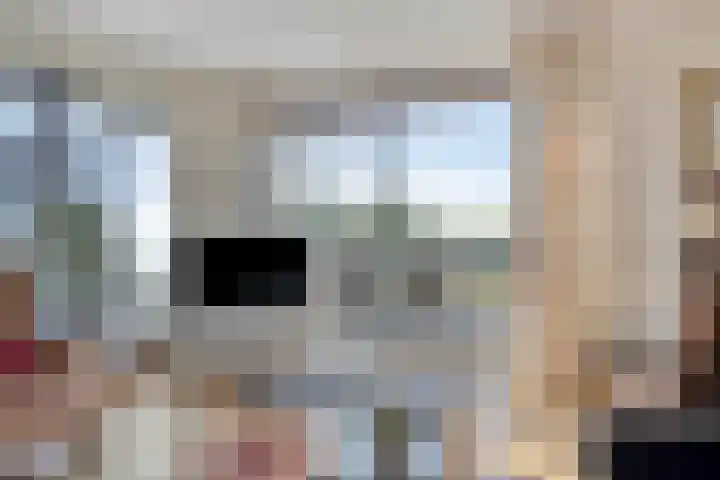 Ansjovislaan 227 Bergen op Zoom thumbnail 5