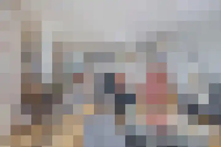 Ansjovislaan 227 Bergen op Zoom thumbnail 6