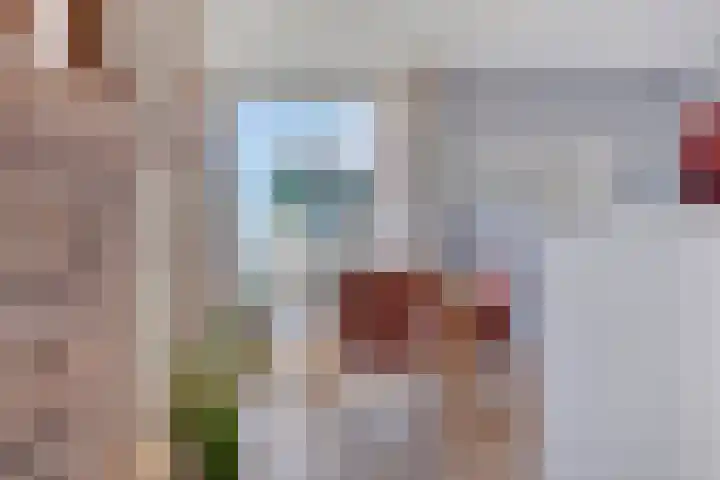 Ansjovislaan 227 Bergen op Zoom thumbnail 9