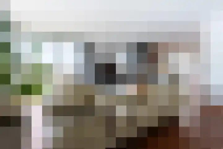 Ansjovislaan 228 Bergen op Zoom thumbnail 13
