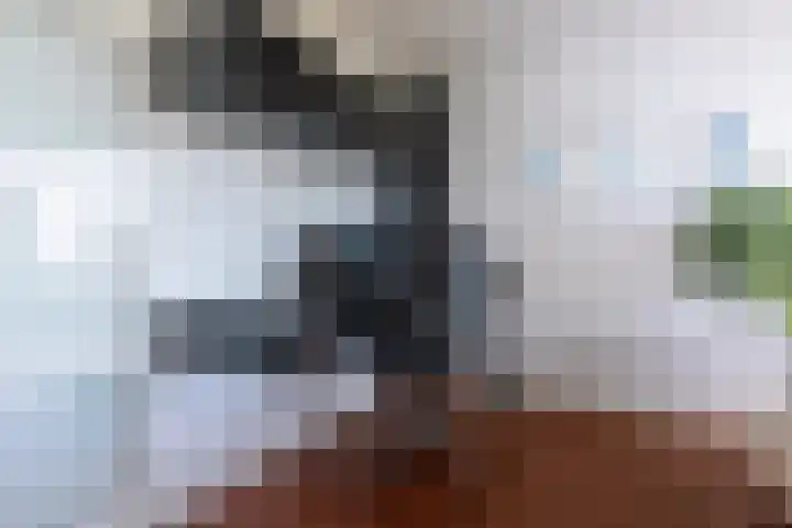 Ansjovislaan 228 Bergen op Zoom thumbnail 16