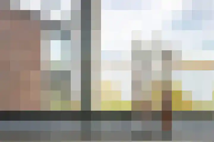 Ansjovislaan 228 Bergen op Zoom thumbnail 18
