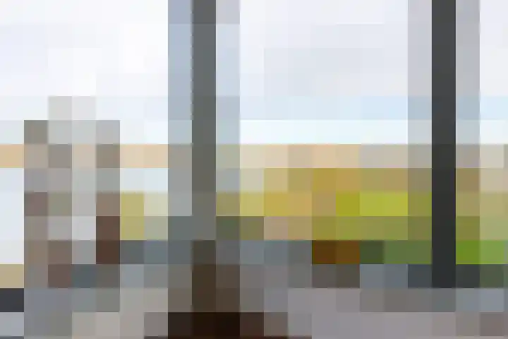 Ansjovislaan 228 Bergen op Zoom thumbnail 19