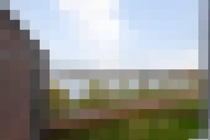 Ansjovislaan 228 Bergen op Zoom thumbnail 20