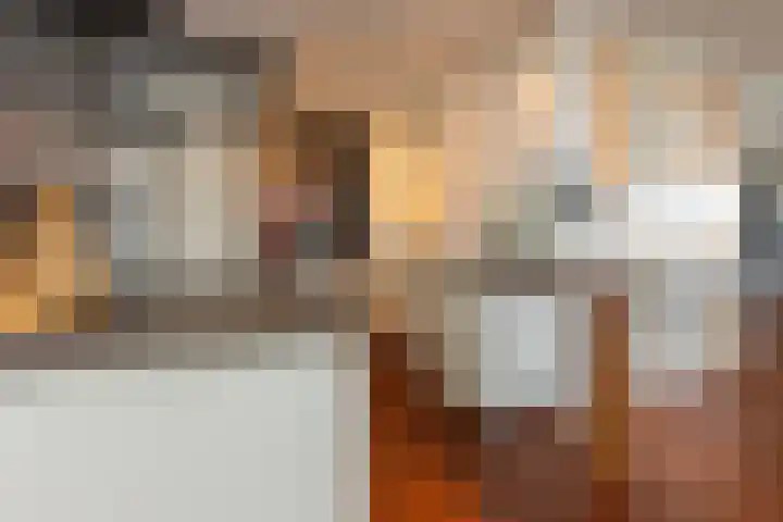 Ansjovislaan 228 Bergen op Zoom thumbnail 22