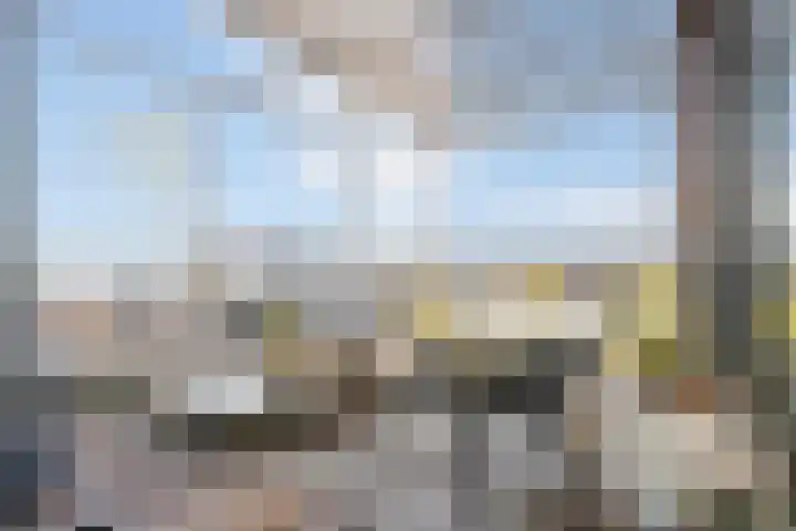 Ansjovislaan 228 Bergen op Zoom thumbnail 27