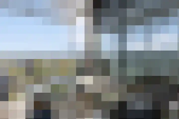 Ansjovislaan 228 Bergen op Zoom thumbnail 28