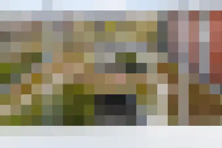 Ansjovislaan 228 Bergen op Zoom thumbnail 30