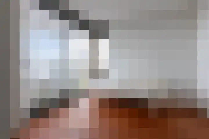 Ansjovislaan 228 Bergen op Zoom thumbnail 32