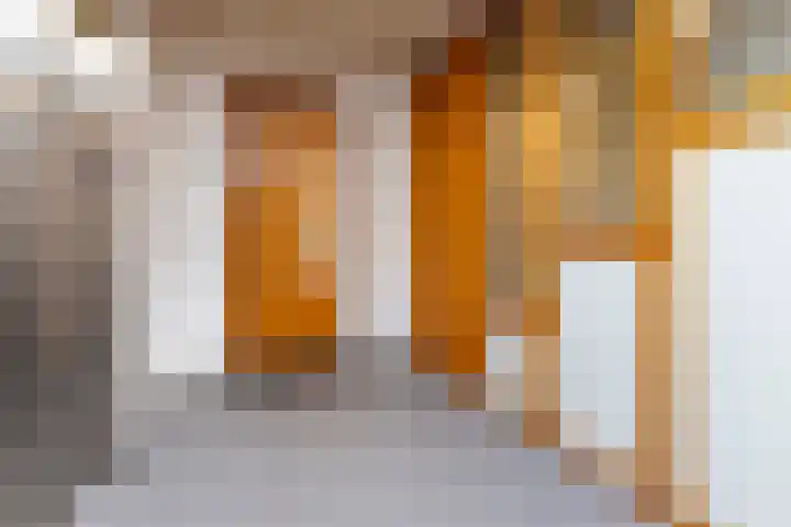 Ansjovislaan 228 Bergen op Zoom thumbnail 4