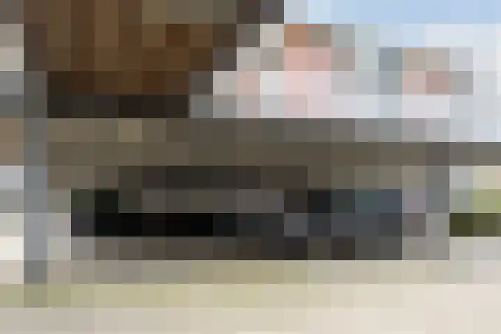 Ansjovislaan 228 Bergen op Zoom thumbnail 40