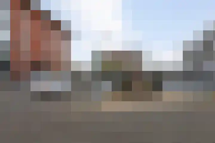 Ansjovislaan 228 Bergen op Zoom thumbnail 41