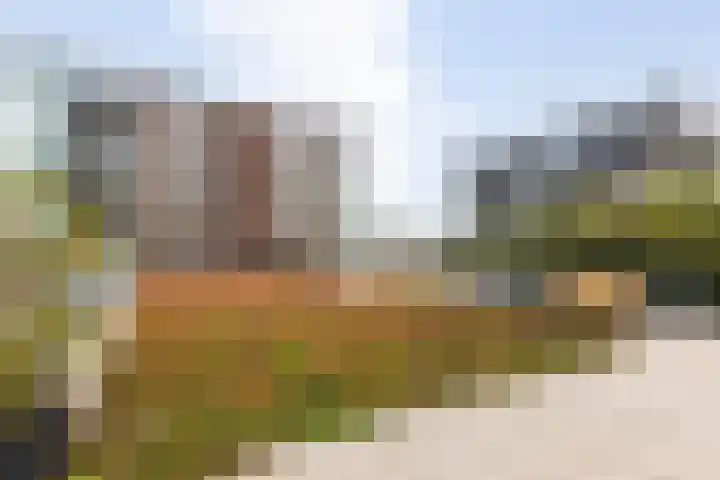 Ansjovislaan 228 Bergen op Zoom thumbnail 42