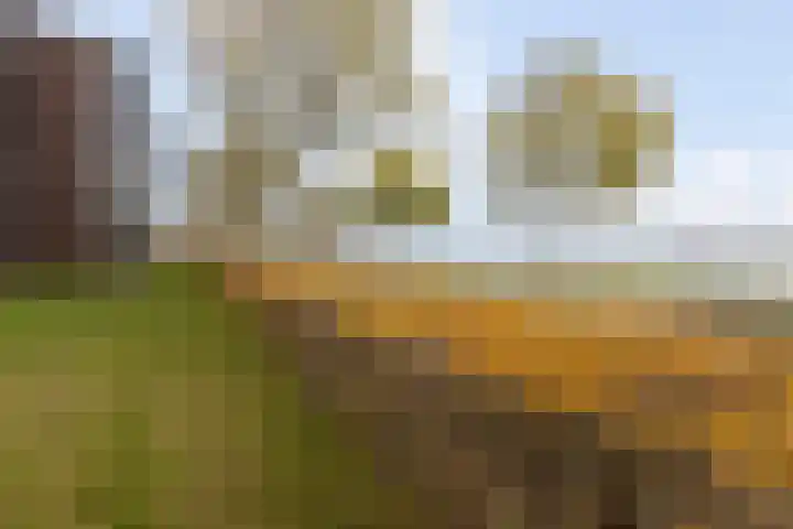 Ansjovislaan 228 Bergen op Zoom thumbnail 44