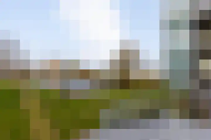 Ansjovislaan 228 Bergen op Zoom thumbnail 46
