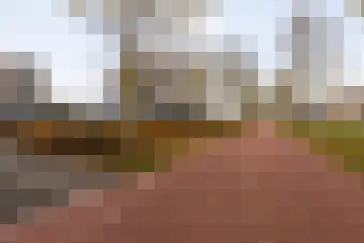Ansjovislaan 228 Bergen op Zoom thumbnail 47