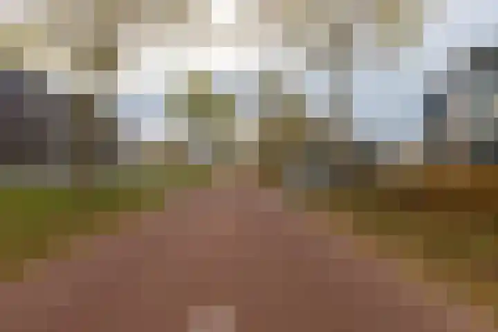 Ansjovislaan 228 Bergen op Zoom thumbnail 48