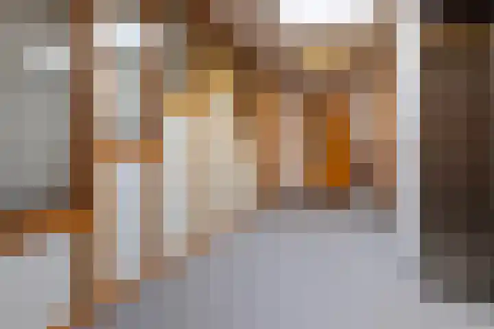 Ansjovislaan 228 Bergen op Zoom thumbnail 5