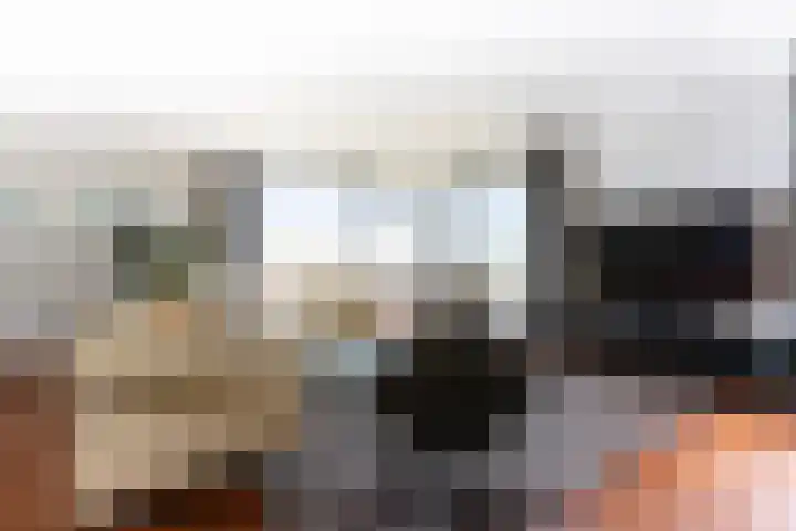 Ansjovislaan 228 Bergen op Zoom thumbnail 9