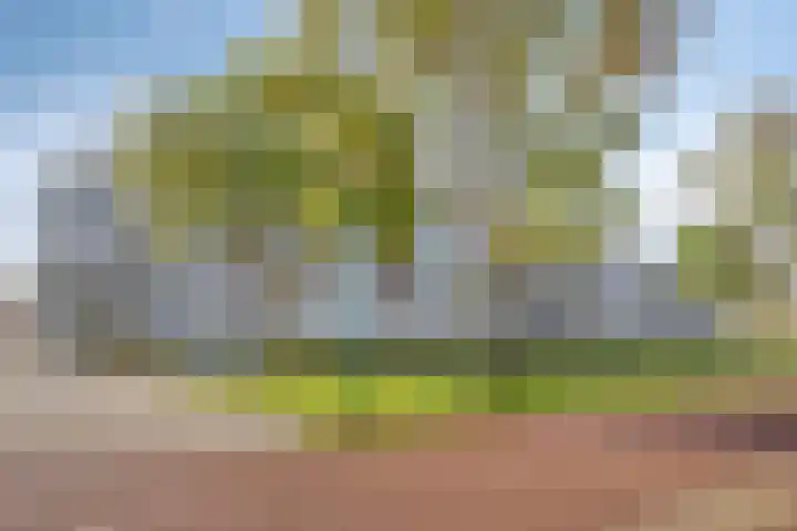 Ansjovislaan 24 Bergen op Zoom thumbnail 25