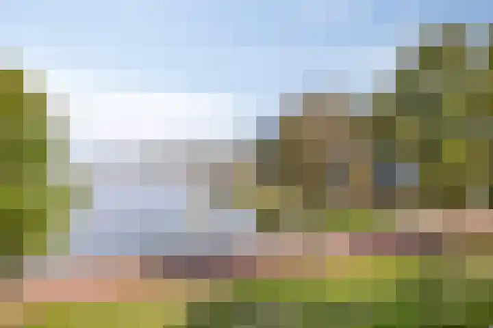 Ansjovislaan 24 Bergen op Zoom thumbnail 27