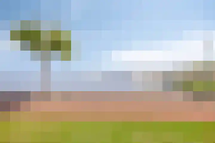 Ansjovislaan 24 Bergen op Zoom thumbnail 29