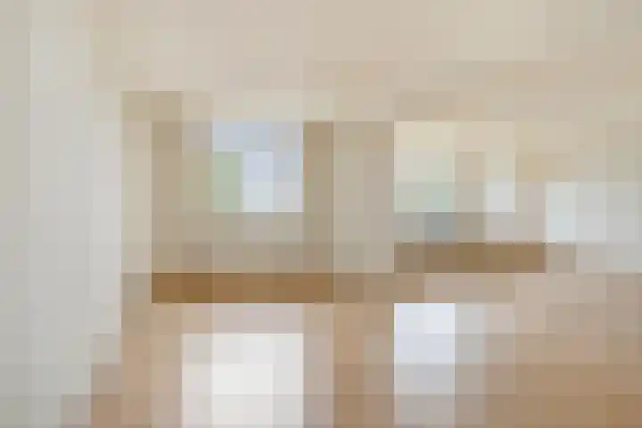 Ansjovislaan 24 Bergen op Zoom thumbnail 4