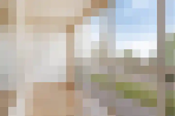 Ansjovislaan 24 Bergen op Zoom thumbnail 6