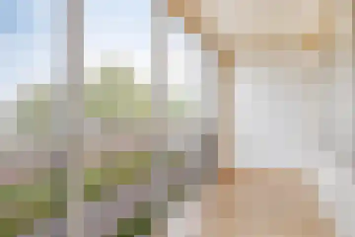 Ansjovislaan 24 Bergen op Zoom thumbnail 7