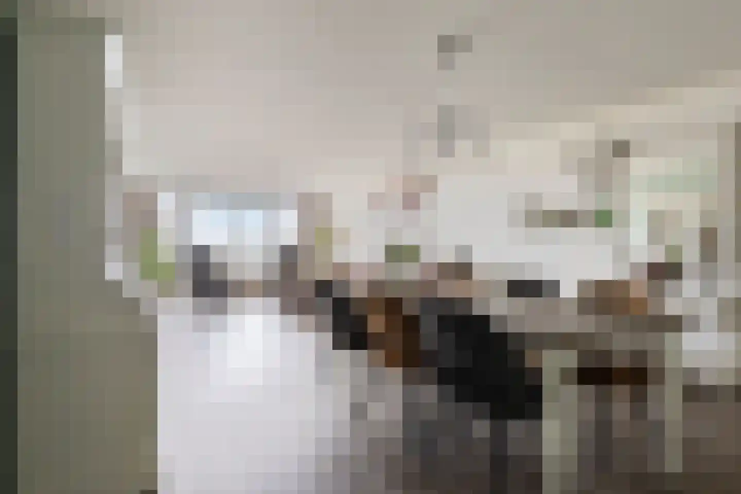 Ansjovislaan 37 Bergen op Zoom thumbnail 10