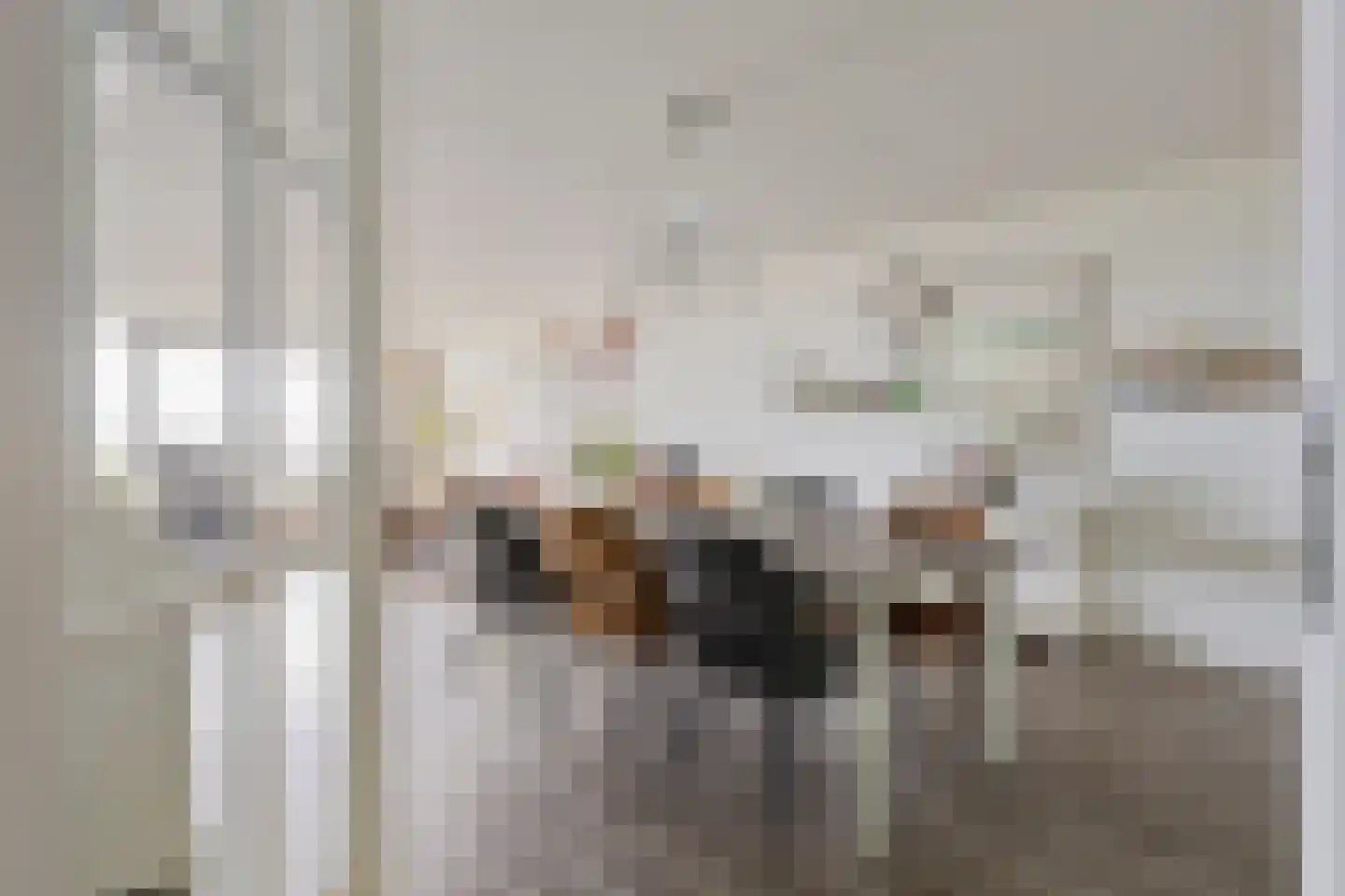 Ansjovislaan 37 Bergen op Zoom thumbnail 11