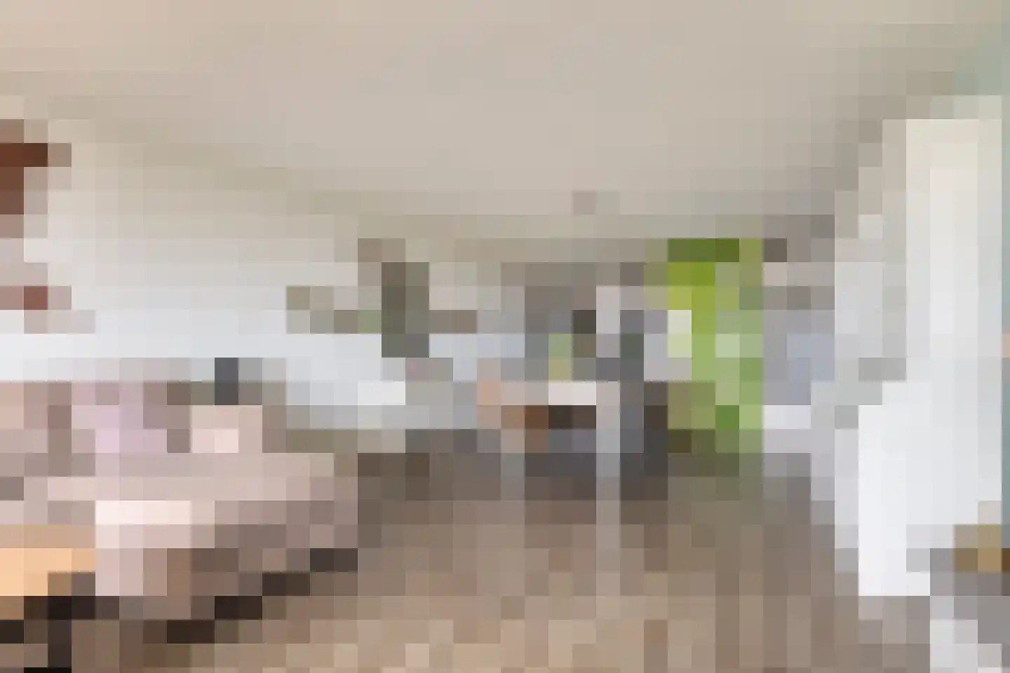 Ansjovislaan 37 Bergen op Zoom thumbnail 14