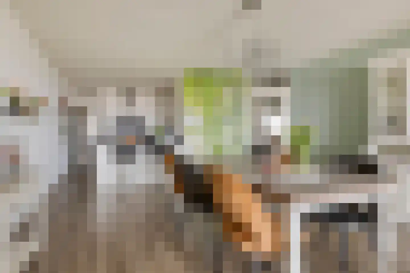 Ansjovislaan 37 Bergen op Zoom thumbnail 16