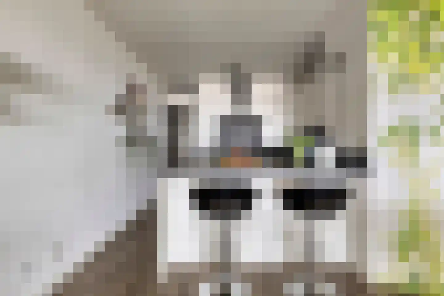 Ansjovislaan 37 Bergen op Zoom thumbnail 17