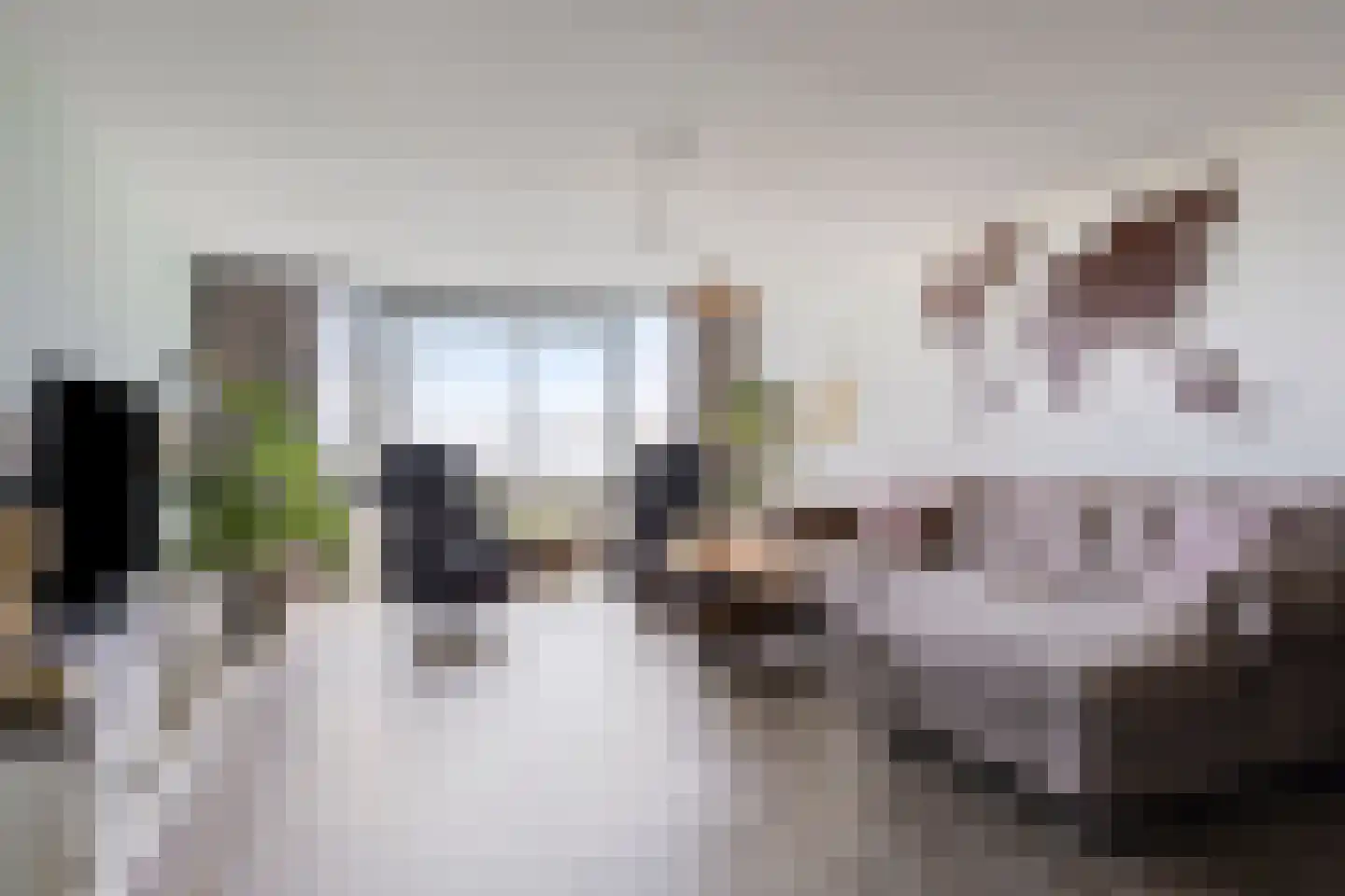Ansjovislaan 37 Bergen op Zoom thumbnail 4