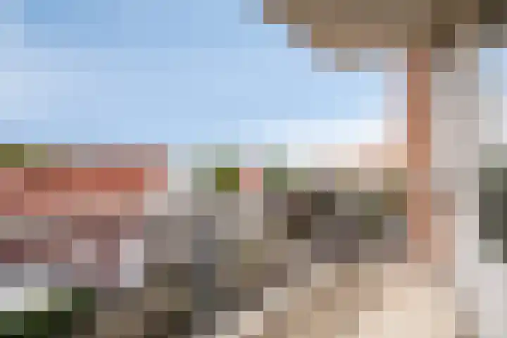 Ansjovislaan 51 Bergen op Zoom thumbnail 25