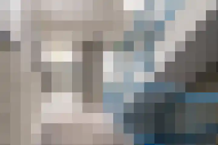 Ansjovislaan 51 Bergen op Zoom thumbnail 32