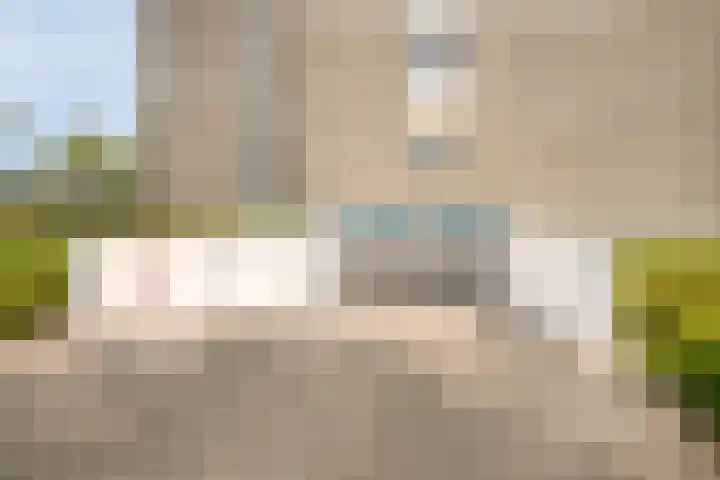 Ansjovislaan 51 Bergen op Zoom thumbnail 36