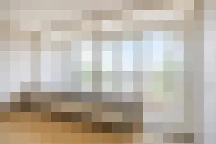 Ansjovislaan 51 Bergen op Zoom thumbnail 4